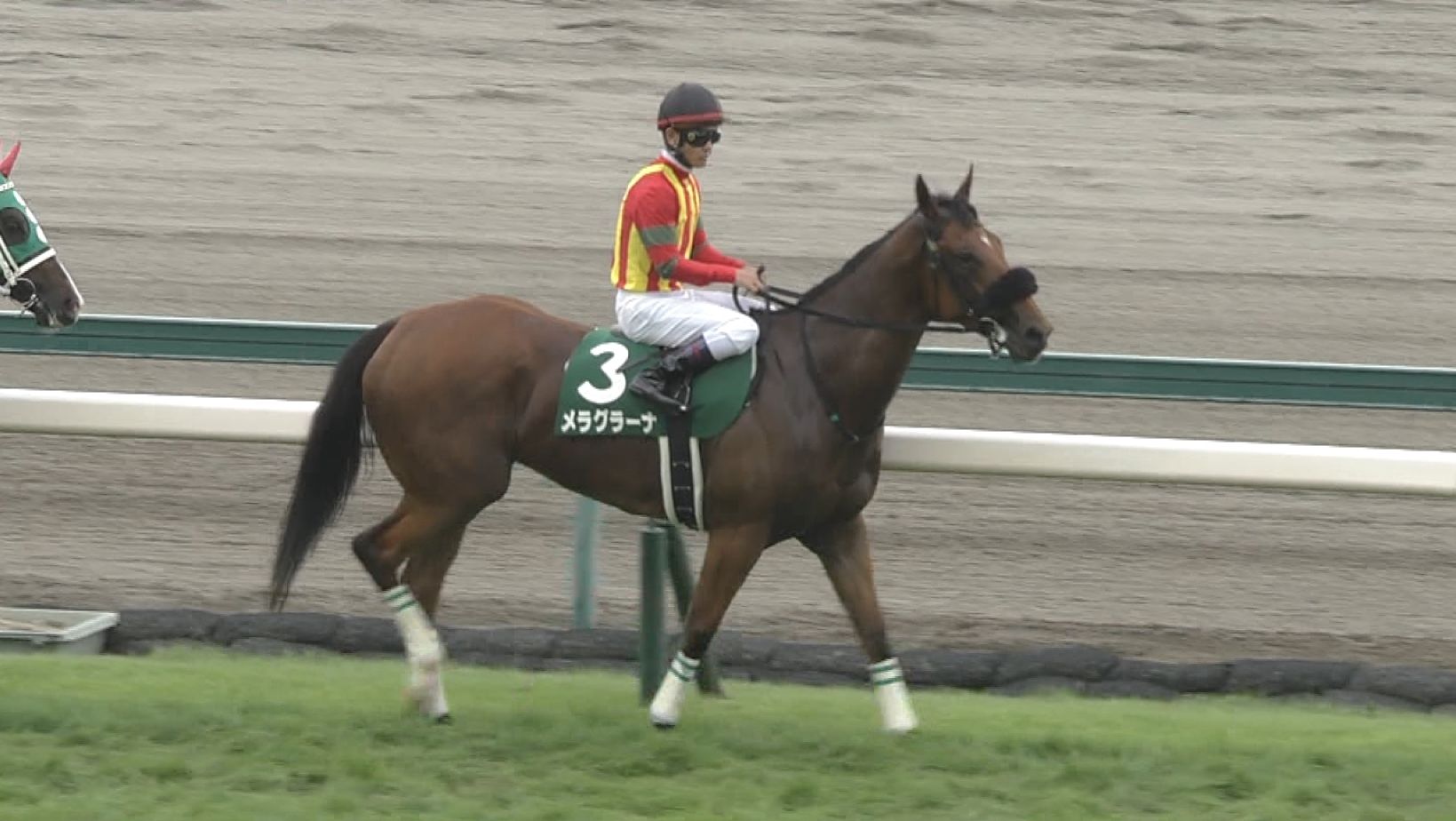 【競馬】戸崎圭太さん、ジャパンカップデーはなんと京都で騎乗？