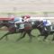 【競馬】セダブリランテスと石川裕紀人、菊花賞制覇の可能性