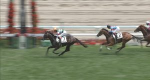 【競馬】単勝勝負　中京7Rレッドヴェイロン1.4倍と函館10Rレイエンダ1.3倍はどっちが飛ぶでしょう？