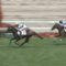 【競馬】レイエンダとは何だったのか