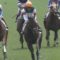 【競馬】明日のレイエンダ絶対飛ぶだろこれｗｗｗｗｗｗｗｗｗｗｗ