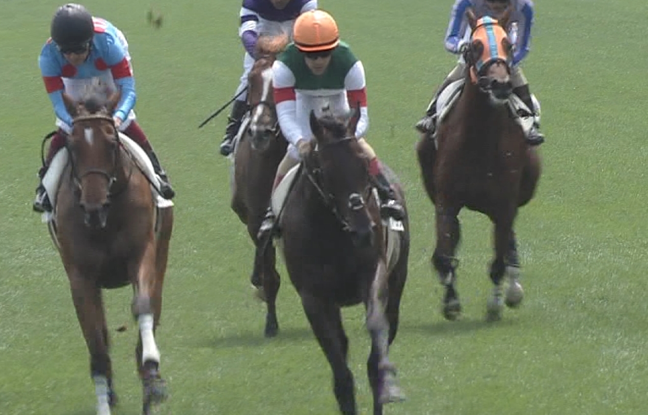 【競馬】ダービー馬レイデオロの弟レイエンダ骨折