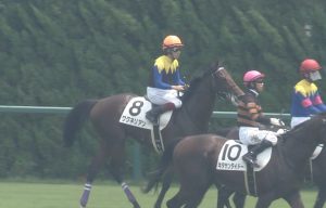 【競馬】16(土) 野路菊S ワグネリアン登場。1週前追い切りでアドマイヤミヤビを突き放す動きで絶好調 【競馬】16(土) 野路菊S ワグネリアン登場。1週前追い切りでアドマイヤミヤビを突き放す動きで絶好調
