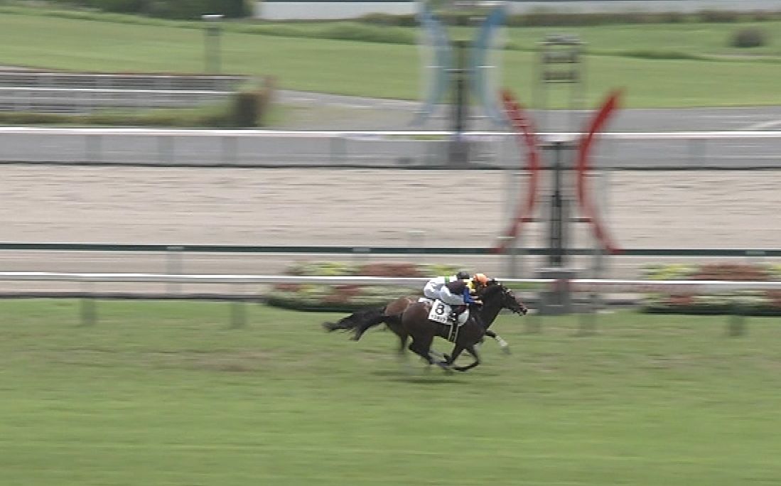 【競馬/新馬】ヘンリーバローズに競り勝ったワグネリアンの上がり32.6ｗｗｗｗ