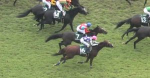 【競馬/中京記念】ワンアンドオンリーに一言かけてあげるスレ
