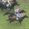 【競馬/中京記念】ワンアンドオンリーに一言かけてあげるスレ