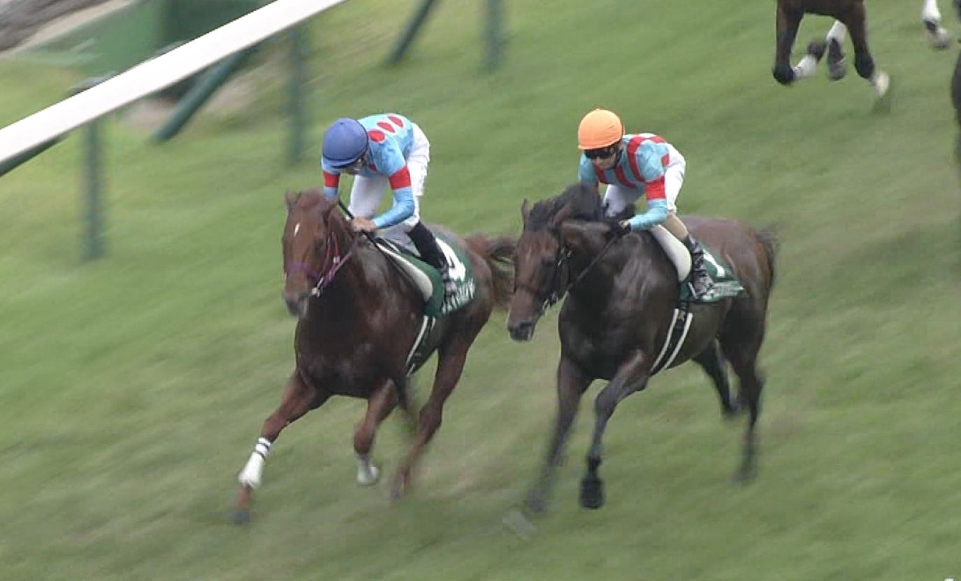 【競馬/七夕賞】シルクのマルターズアポジー潰し→ゼーヴィント勝利について