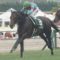 【競馬】戸崎、今日3勝すれば｢同一場開催最多勝記録｣を更新！！！