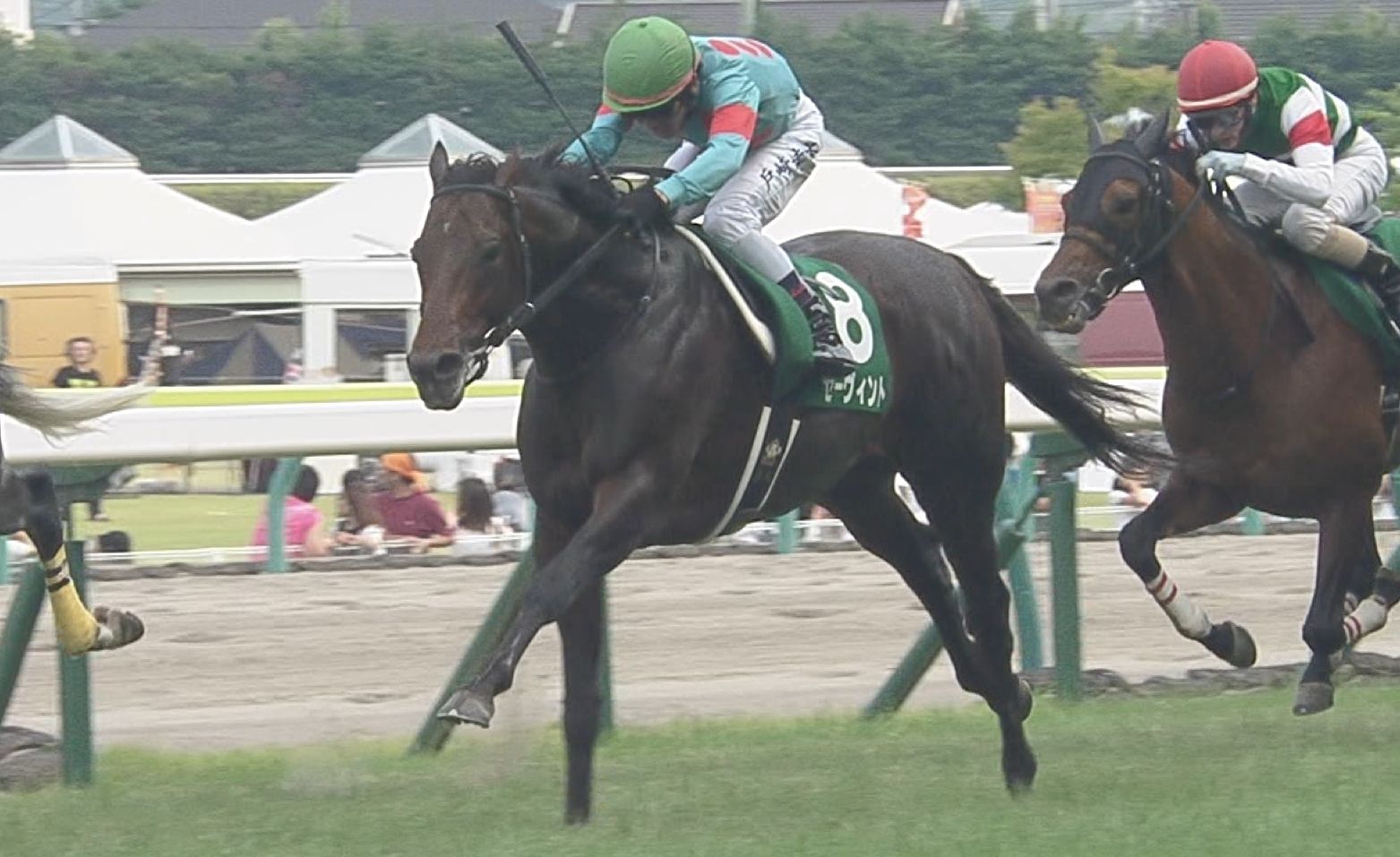 【競馬/天皇賞春】川田騎乗停止でグローリーヴェイズの鞍上は戸崎圭太に決定