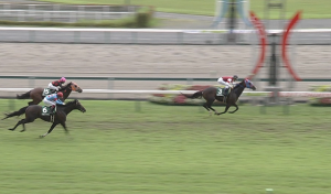 【競馬】サマーマイルシリーズ優勝該当馬なし3回目…やる意味あんの？