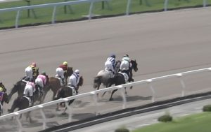 【競馬】肘打ちデムーロの処分軽すぎだろ 【競馬】肘打ちデムーロの処分軽すぎだろ