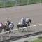 【競馬】肘打ちデムーロの処分軽すぎだろ