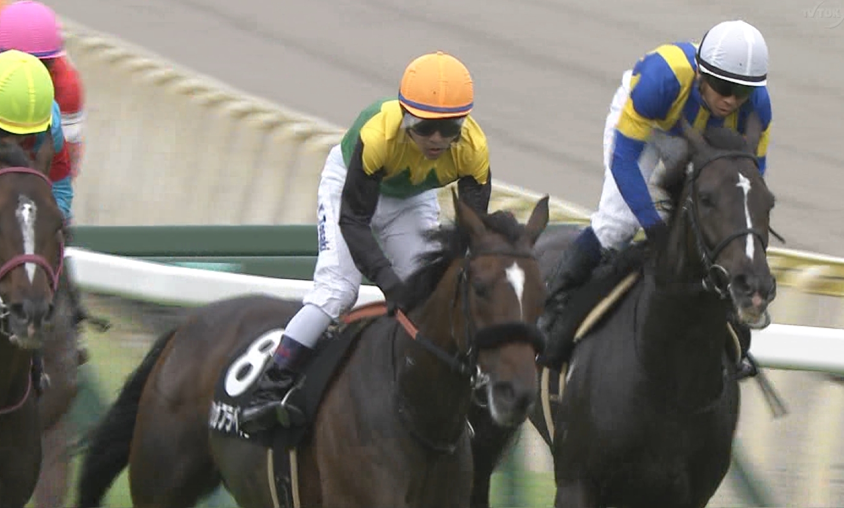 【競馬】戸崎の２着率を高く評価してるよ。