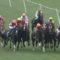 【競馬】新潟10R直線で柴田とヨシトミが喧嘩しててワロタ