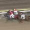 【競馬】的場文男また重賞制覇wwwwwwwwwwww