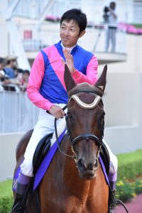 【競馬】05年“小倉3冠”メイショウカイドウ、武豊を背に誘導馬卒業 盛大な引退式☆彡. 【競馬】05年“小倉3冠”メイショウカイドウ、武豊を背に誘導馬卒業 盛大な引退式☆彡.