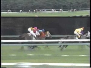 【競馬】1992年のイクノディクタスのローテ無茶苦茶すぎｗｗｗｗｗｗｗｗｗｗｗ