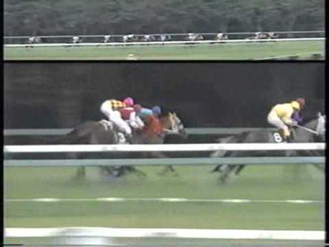 【競馬】1992年のイクノディクタスのローテ無茶苦茶すぎｗｗｗｗｗｗｗｗｗｗｗ
