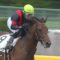 【競馬】ユニコーンSは廃止にすべき 抽選で除外になる馬が多すぎる