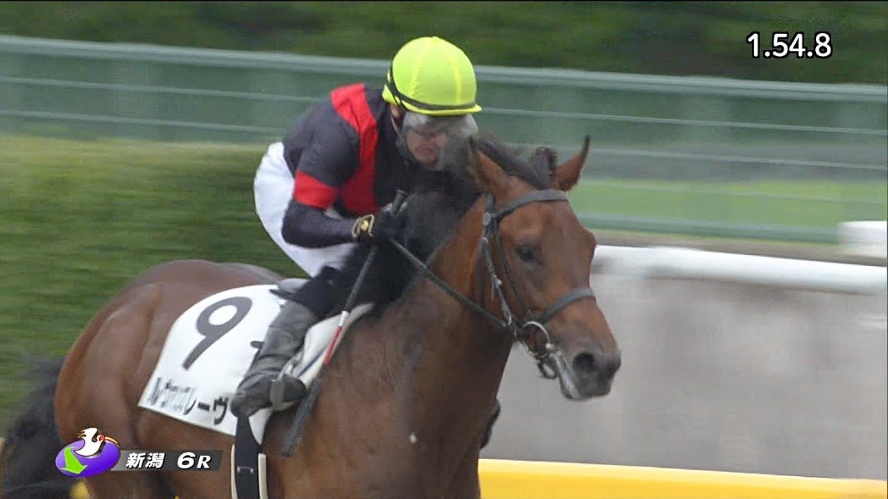 【競馬】ユニコーンSは廃止にすべき 抽選で除外になる馬が多すぎる
