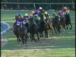 【競馬】ラストランに究極仕上げしてぶっちぎるのってめちゃくちゃカッコイイよな
