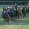 【競馬】ラストランに究極仕上げしてぶっちぎるのってめちゃくちゃカッコイイよな