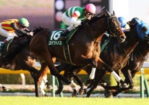 【競馬】無冠の帝王ステファノスが9.26のオールカマーへ！！