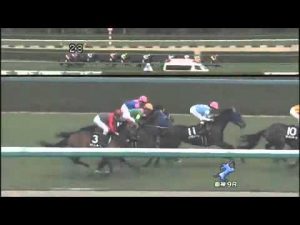 【競馬】テイエムジンソク武豊でみやこエスへ 【競馬】テイエムジンソク武豊でみやこエスへ