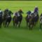 【海外競馬】アルマンゾル引退！！凱旋門賞に異変有り！！