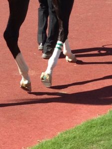 【競馬/レパードS】エピカリスの蹄、かなり重篤な状態だったことが判明