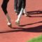 【競馬/レパードS】エピカリスの蹄、かなり重篤な状態だったことが判明