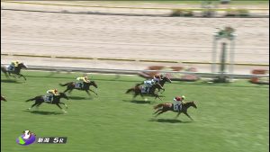 【競馬/2歳新馬】オルフェーヴル産駒ロックディスタウンつえええええｗｗｗｗｗｗ 上がり3F32秒5！