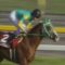 【競馬】サニーブライアン大西「逃げます！」サイレンススズカ上村「潰し合いになるから控えとこ」