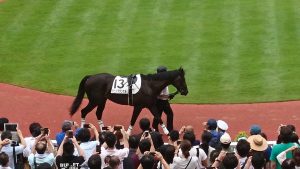 【2歳新馬】怪物タニノフランケル528kg