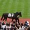 【2歳新馬】怪物タニノフランケル528kg