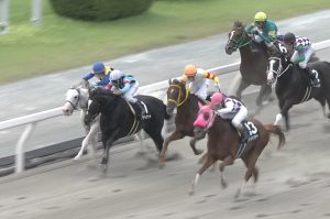 【競馬】戸崎圭太さん、アディラートを飛ばす 【競馬】戸崎圭太さん、アディラートを飛ばす
