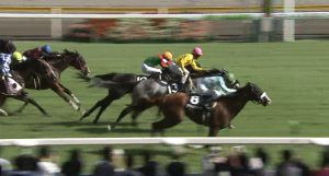 【競馬】柴田阿弥、すごく可愛い