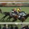 【競馬】柴田阿弥、すごく可愛い