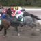 【競馬】急募！テイエムジンソクの新しい主戦