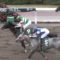 【競馬/エルムS】netkeibaピオネロ板、大荒れ