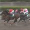 【競馬/エルムS】テイエムジンソクとは何だったのか？