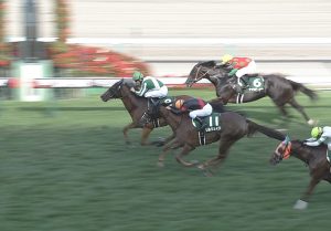 【競馬】エポワスのデビュー戦に乗っていた田面木という騎手