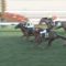 【競馬】エポワスのデビュー戦に乗っていた田面木という騎手
