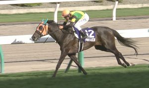 【競馬】戸崎圭太「G1勝ちたい？別に特別な意識もない。やることも同じですし。」