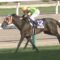 【競馬】エリ女で「この馬を買う奴はセンス無さすぎワロタｗｗｗｗｗ」ランキングを発表するよー＼(^o^)／