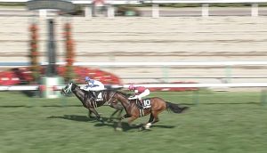 【競馬/クローバー賞】大外ぶん回しのルメール、地方馬に差し返されるｗｗｗｗｗｗｗｗｗｗ