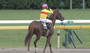 【競馬】今日のデムーロ1番人気6Rで馬券内0!下手すぎワロタwwwwwwwww 【競馬】今日のデムーロ1番人気6Rで馬券内0!下手すぎワロタwwwwwwwww