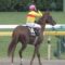 【競馬】今日のデムーロ1番人気6Rで馬券内0！下手すぎワロタwwwwwwwww