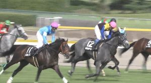 【競馬】戸崎圭太さん新潟乞食専念した結果ショパンとゼウスバローズで取りこぼす 【競馬】戸崎圭太さん新潟乞食専念した結果ショパンとゼウスバローズで取りこぼす