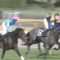 【競馬】戸崎圭太さん新潟乞食専念した結果ショパンとゼウスバローズで取りこぼす